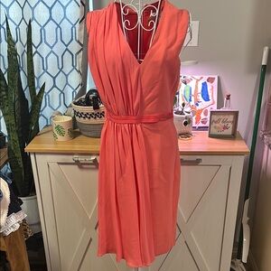 Longchamp Dress, Size 4 (Size 36)